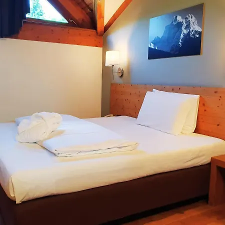 Hotel Orso Grigio 4*