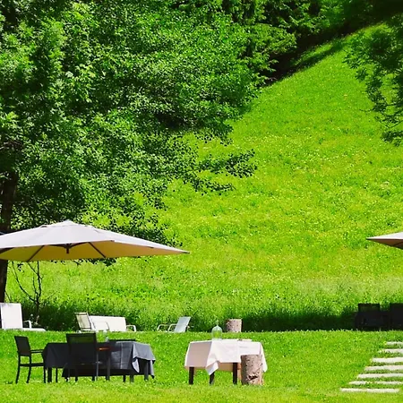 Orso Grigio بيسكول