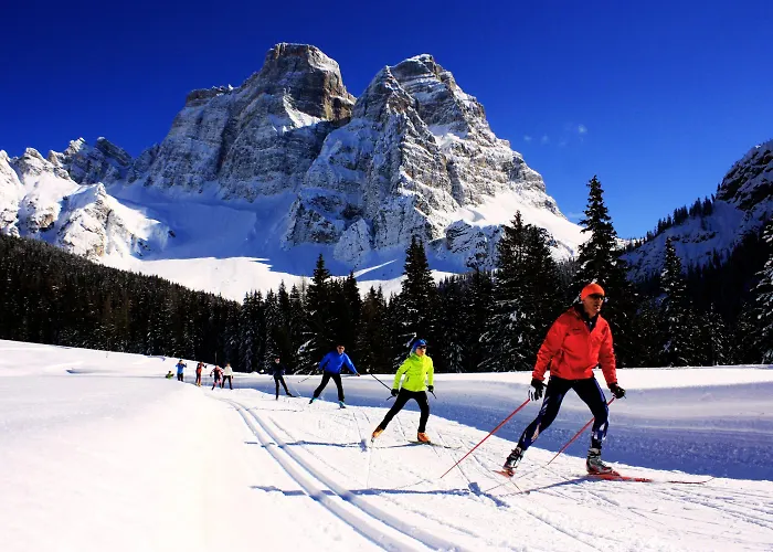 Ξενοδοχείο Orso Grigio