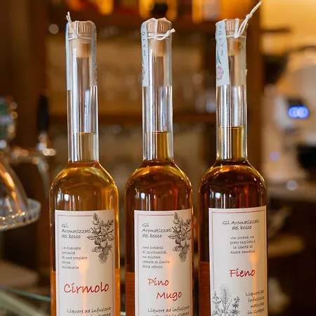 Orso Grigio Szálloda