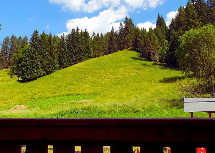 Hotel Orso Grigio 4*