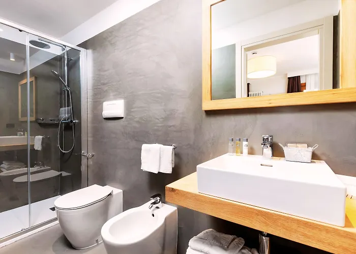 Hotel Orso Grigio 4*